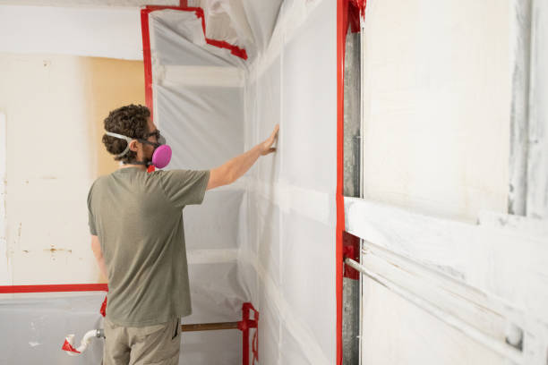 Best Attic Mold Removal  in Farngton Hills, MI