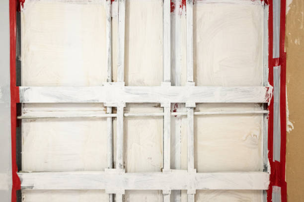 Best Mold Odor Removal Services  in Farngton Hills, MI