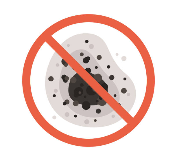 Best Basement Mold Removal  in Farngton Hills, MI