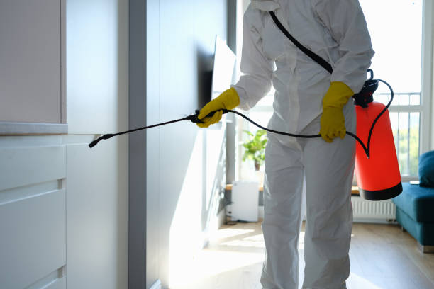 Best Forensic Mold Investigation  in Farngton Hills, MI