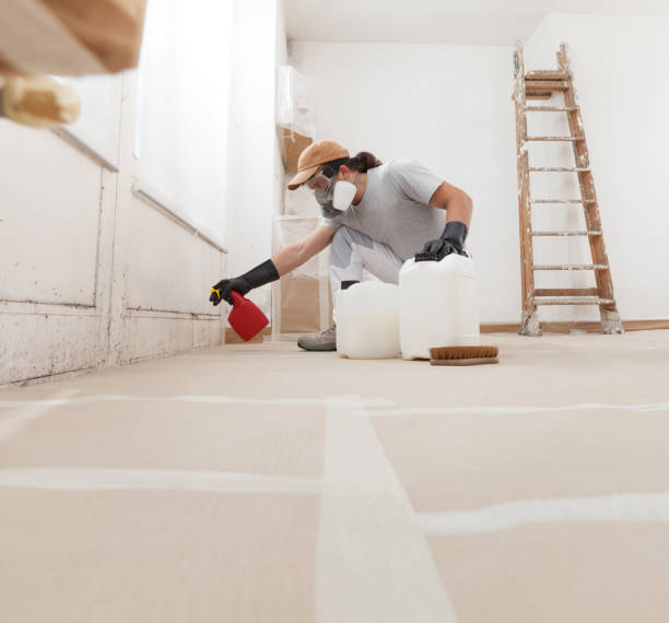 Best Emergency Mold Remediation  in Farngton Hills, MI